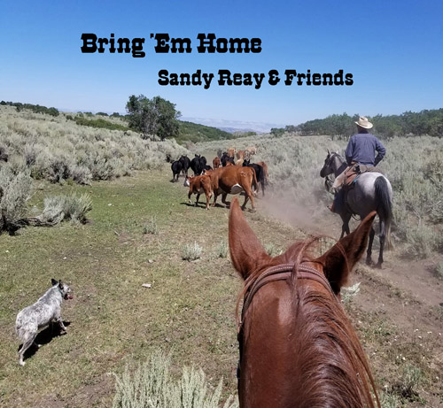 Bring Em Home CD by Sandy Reay and Friends