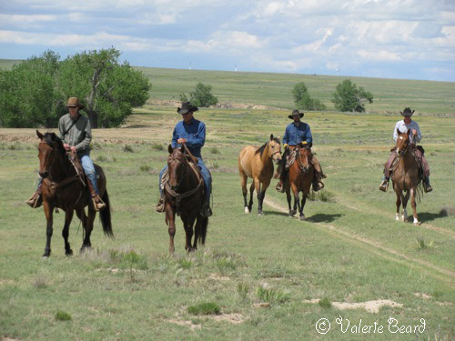 photos ©Valerie Beard, Short Grass Studios four cowboys on horseback and a fifth horse on a lead in an open pasture 