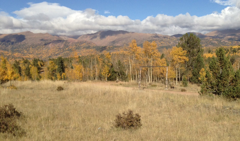 ©S L Reay a photo of a mountain valley with gold aspen trees