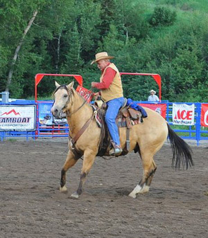 ©Bill Patterson, Patterson Photograpy a photo of a man on a buckskin horse in a rodeo arena