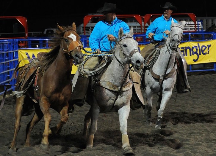 Another Horse to Saddle Online Cowboy Poetry Book Bill Patterson, Patterson Photography
