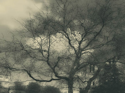 a black and gray photograph of a tree trunk and bare branches against storm clouds